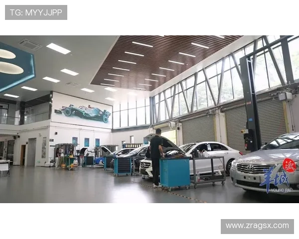 PA直营体系建立的关键步骤与实操建议全面解析