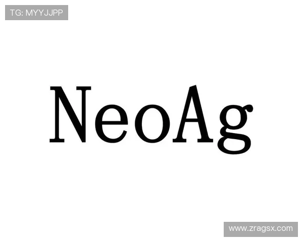 如何快速找到可靠的AG国际厅官方地址确保账户安全与顺畅体验