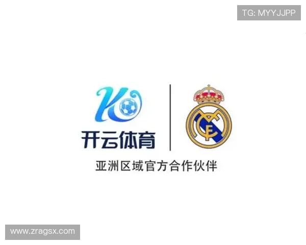 开云体育app官网入口最新入口地址及安全验证全攻略保障您的顺利体验