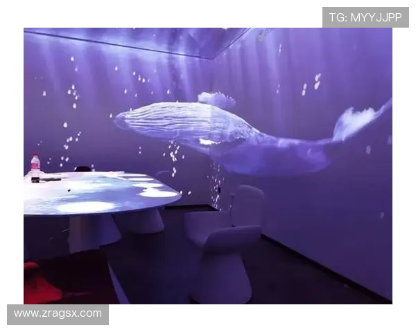 最新真人视讯技术全面升级，带来沉浸式的视觉盛宴与互动体验