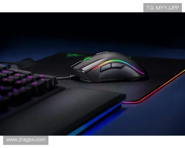 凯发下载网址官方入口，提供丰富游戏资源和便捷下载服务指南