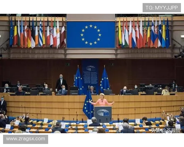 掌握三公规矩的关键技巧：提升游戏体验与赢面的方法全攻略