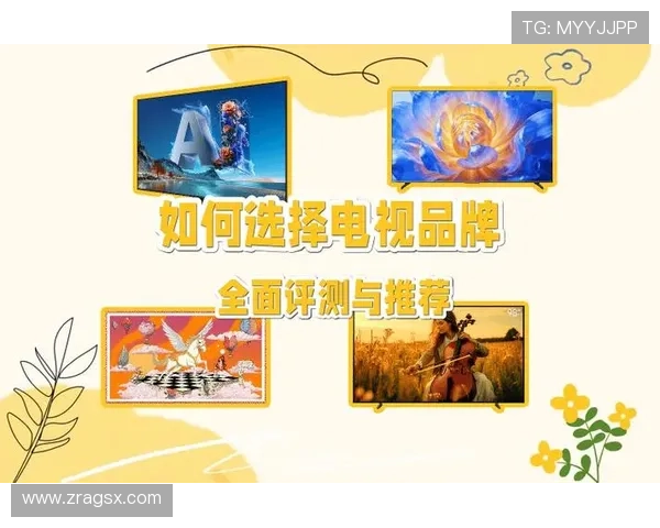 百家乐数据分析全面指南帮助玩家提升胜率与策略制定